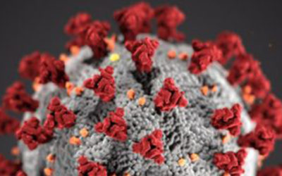 Open Letter to The United Nations: Call for The Establishment of a Multi-sector “Global Health Equity Task Force” to Confront The Impact of COVID-19 Pandemic