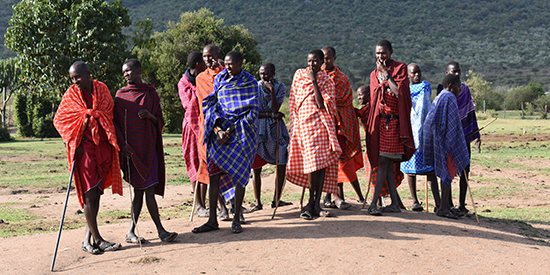 wfpha-working-groups-indigenous