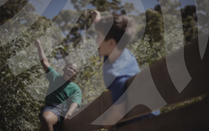 wfpha-blog-preview-annual-report-kids