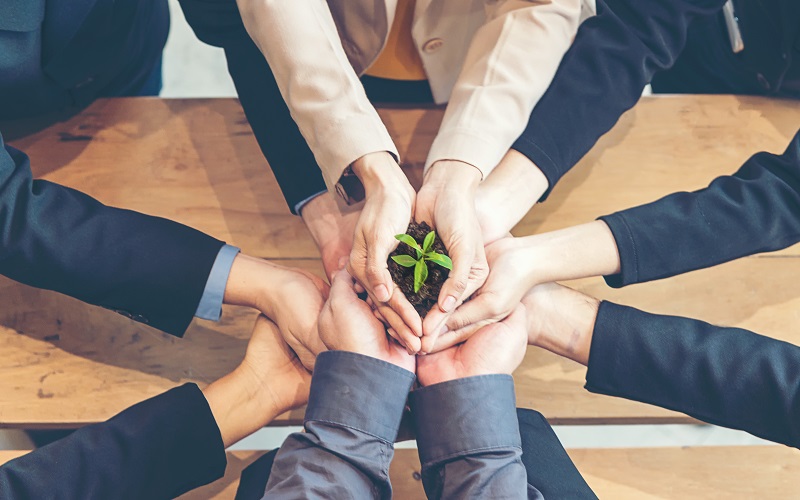 Hands,Adult,Business,Team,Work,Partnership,Harmony,Cupping,Young,Plant