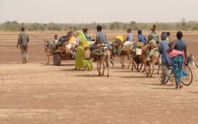Statement about the Current Situation in Tigray, Ethiopia