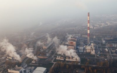 Policy Statement on Climate Change