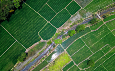 GPHW2022: An Introduction to Planetary Health