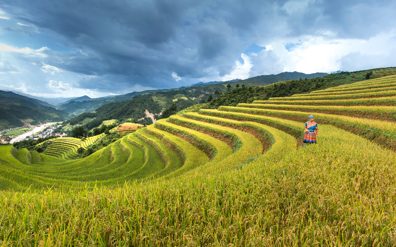wfpha-blog-preview-farm