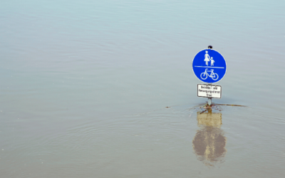GPHW2022: Climate-Driven Disaster