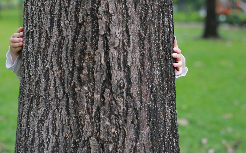wfpha-blog-preview-hug-tree
