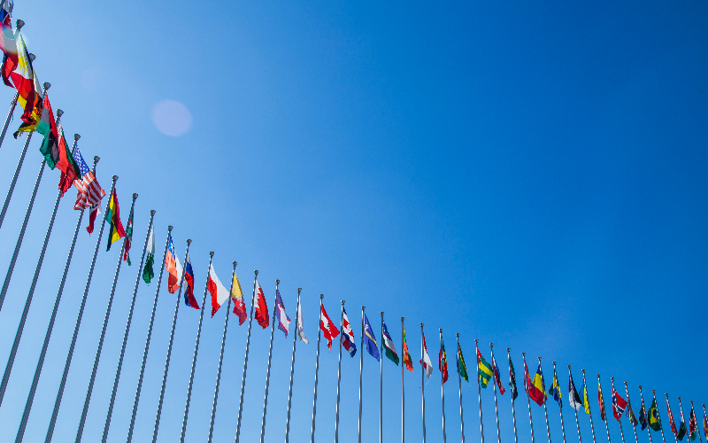 wfpha-blog-national-flags