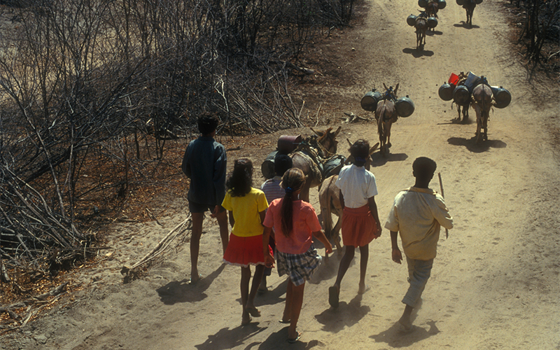 wfpha-blog-preview-children-looking-for-water