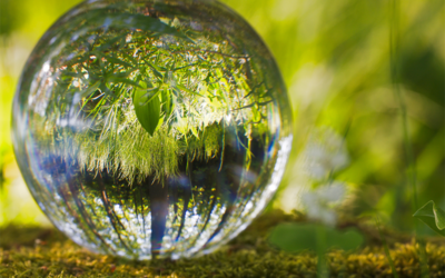 GPHW2023: How to Put Planetary Health at the Core of Medical Curricula?