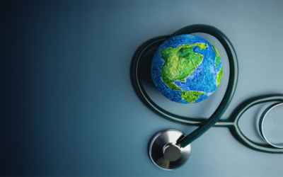 Investing in Health System Resilience: Strategies for Preparedness and Response Capacity Enhancement