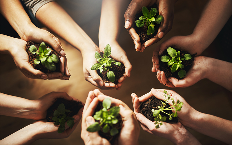 wfpha-blog-preview-people-holding-green-plants