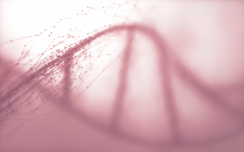 Integrating China in the International Consortium for Personalized Medicine Project: Working Groups
