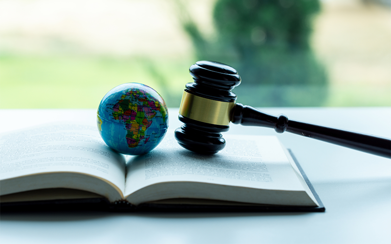 Climate Change Litigation: Guide for Public Health Professionals