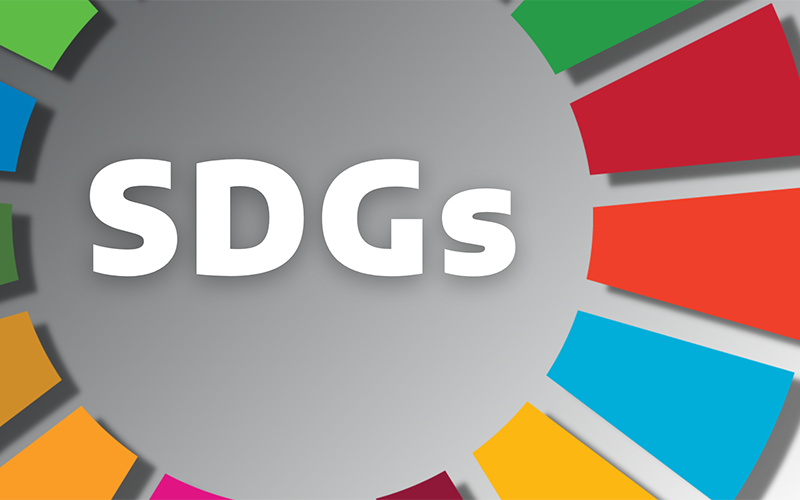 Have the SDGs Lost Their Aspirational Force?