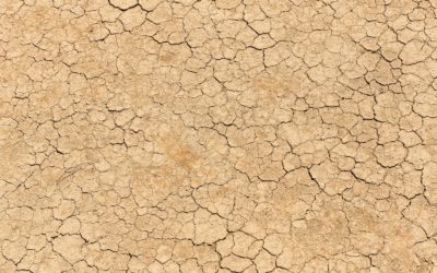 WFPHA joins call for WHO action on Climate Change Obligations before International Court