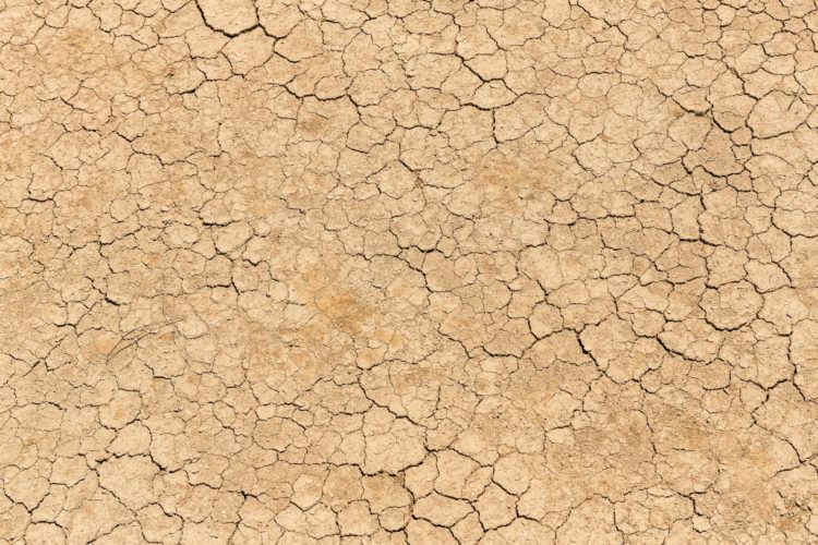 wfpha-blog-preview-encourages-who-leadership-climate-change white textile near white textile