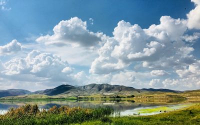 GPHW2024: Supporting Sustainable and Thriving Communities