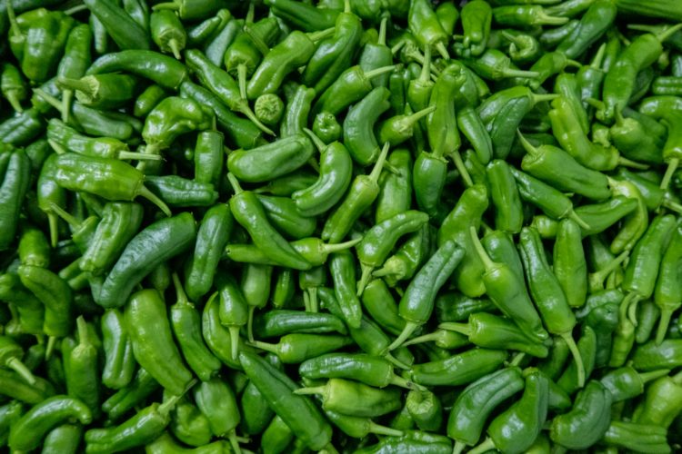 wfpha-blog-preview-gphw24-alimentacion-saludable-webinar green chili peppers on green leaves