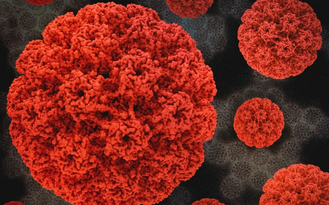 Advancing Adult HPV Vaccination: From Evidence to Action