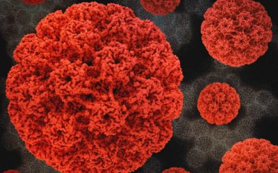 Advancing Adult HPV Vaccination: From Evidence to Action